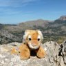 Profilbild von Majerran