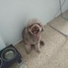 Semi's profile picture