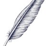 Фото профиля asiannewseye
