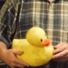 VonStegall's profile picture