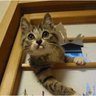 HIDE profil fotoğrafı