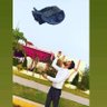 Sonu Singh 🇮🇳's profile picture
