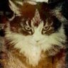 Profilbild von Carswell