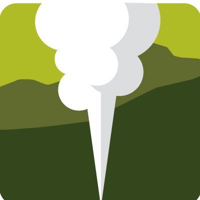 ynpforever's profile picture