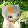ねこねこデブねこ(フイルム＆スマホカメラ作品) profil fotoğrafı