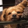 Profilbild von Wayne