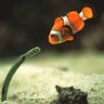 Фото профиля Raven@ヘタレP