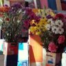 Фото профиля Anónima Venusiana