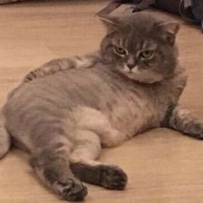 rodsss_s's profile picture