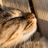 WACKWACKさん(わくわく)(ワクワク)'s profile picture