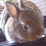 あ~さ~・ぺろりん 的头像