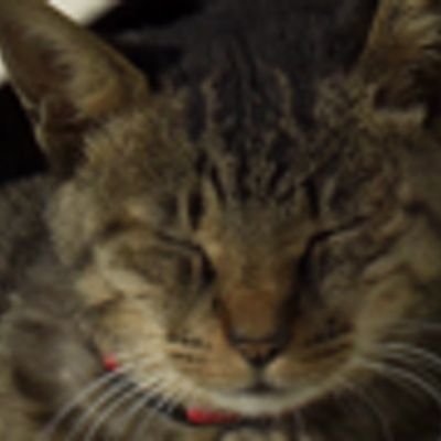 Hyutyan1041's profile picture