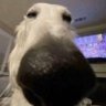 no's profile picture