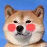 A 呦憨憨🐶 的头像