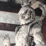 知院家ノラハム profil fotoğrafı