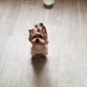 LoraPluhsа profil fotoğrafı