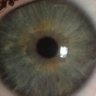 A Succulent Chaos Meal's profile picture