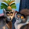 Alpha Toure profil fotoฤrafฤฑ