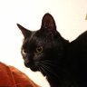 Фото профиля うにめし