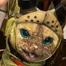 魔王の姉の弟 的头像