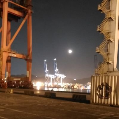 bobgigishih's profile picture
