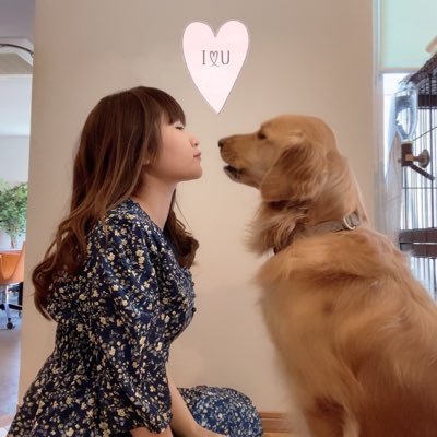 こはる@ゴールデンレトリバー's profile picture