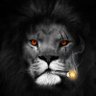 Profilbild von LionDLuffy