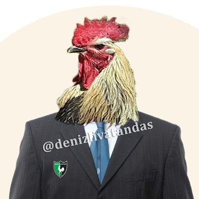 denizlivatandas's profile picture