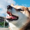 Ainara profil fotoğrafı