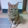 ばんちゃ's profile picture