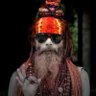 Фото профиля Diwakar Tripathi