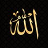 Naveed Yousuf's profile picture