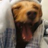 Profilbild von Eduardo
