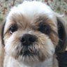 Profilbild von MAKO