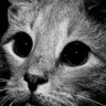 RICH.COMโจ๏ธ๐'s profile picture