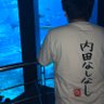 Фото профиля かじキョン(くつした)