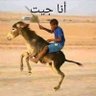 المارد profil fotoğrafı