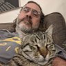 Lior Levy's profile picture
