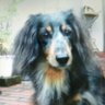 最苦 profil fotoğrafı
