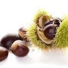 Profilbild von Eチェス🌰chestnuts