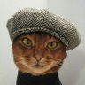 Котейка Хулиган 的头像