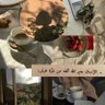 Trf🦋•• profil fotoğrafı