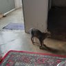 llbiatt profil fotoğrafı