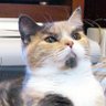 flardaman's profile picture
