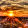 عالي الهمّه profil fotoğrafı