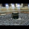 وطن حر profil fotoğrafı