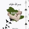 Фото профиля وطن صغير