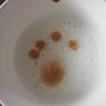 paws_paws's profile picture