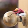 King's profile picture