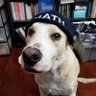 Profilbild von Eugene 🧢